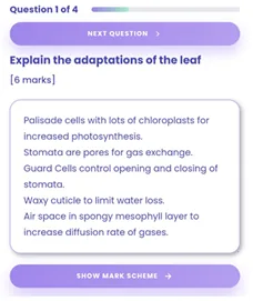 Exam question 'Explain the adaptations of the leaf' with its model answer and a Show Mark Scheme button